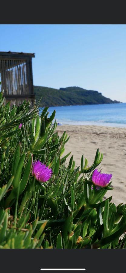 La Dolce Vita Mazet A Gassin Golfe De Saint Tropez Buitenkant foto